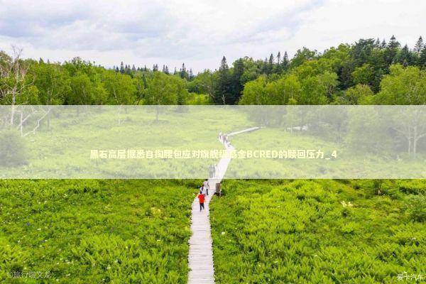 黑石高层据悉自掏腰包应对旗舰级基金BCRED的赎回压力_4