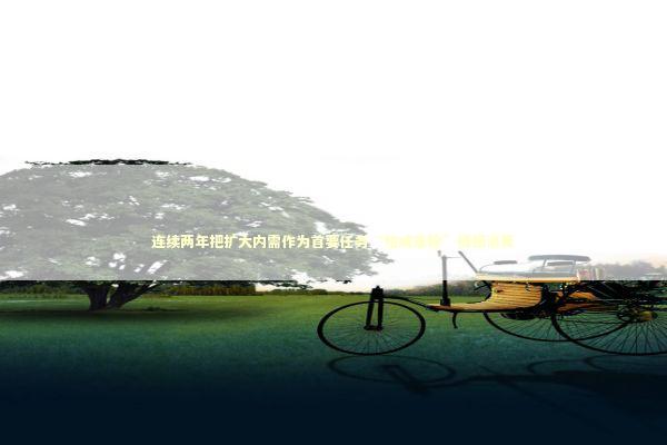 连续两年把扩大内需作为首要任务“加减乘除”提振消费