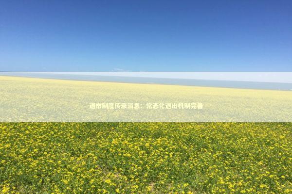 退市制度传来消息：常态化退出机制完善