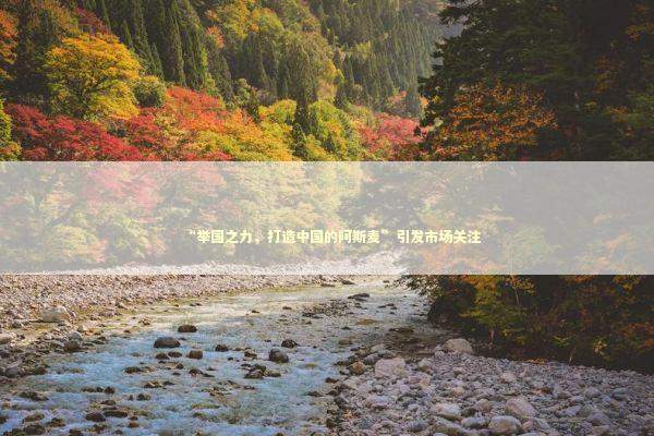 “举国之力，打造中国的阿斯麦”引发市场关注