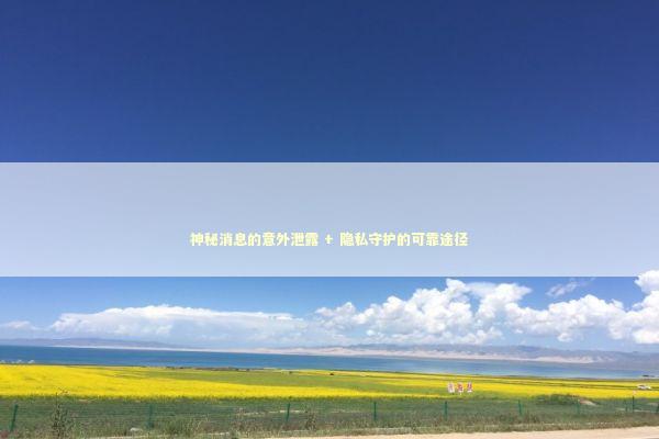 神秘消息的意外泄露 + 隐私守护的可靠途径