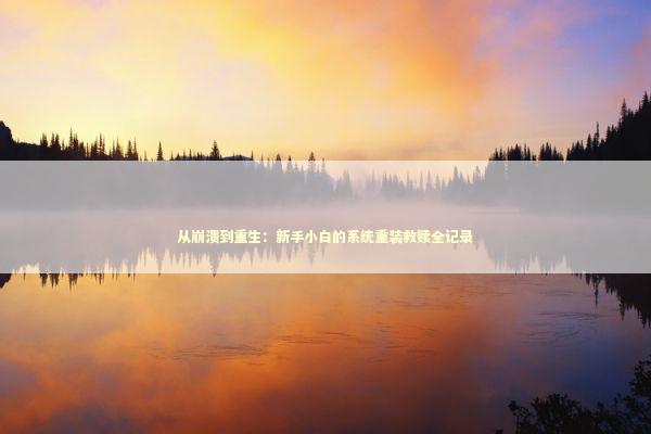 从崩溃到重生:新手小白的系统重装救赎全记录 从崩溃到重生:新手小白的系统重装救赎全记录 IT技术