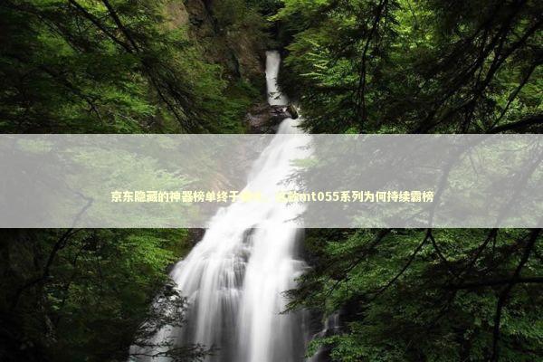 京东隐藏的神器榜单终于曝光，这款mt055系列为何持续霸榜